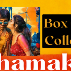Dhamaka Box Office Collection